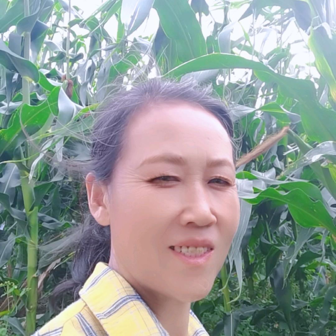 刘二姐
