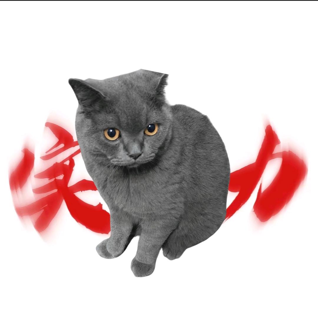 孤独的狼