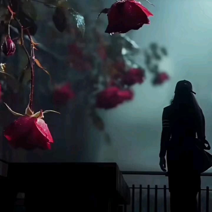 🌹yalhoz🌹