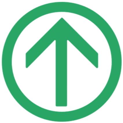 项左项右