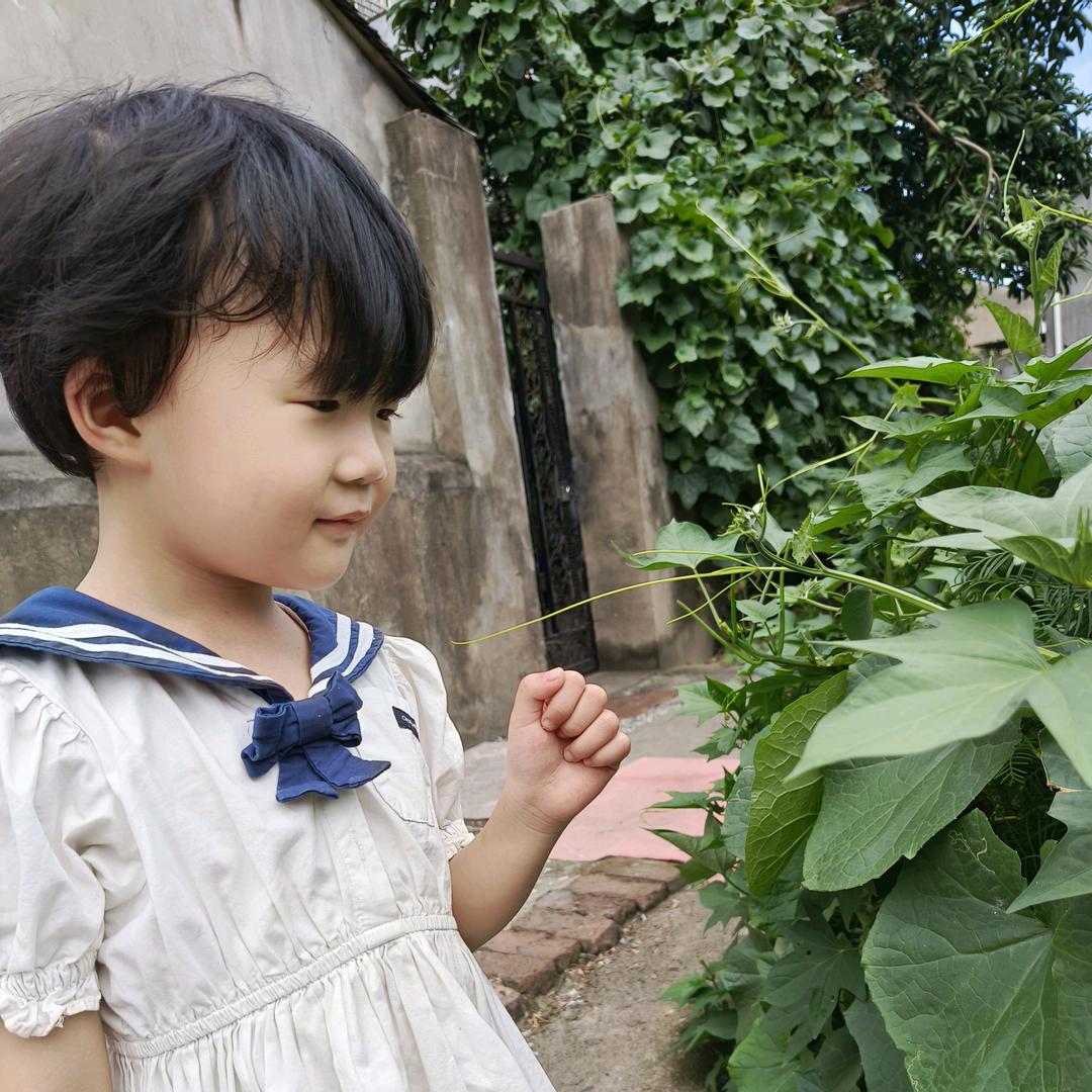 方小甜