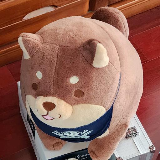 大湾区第一帅比