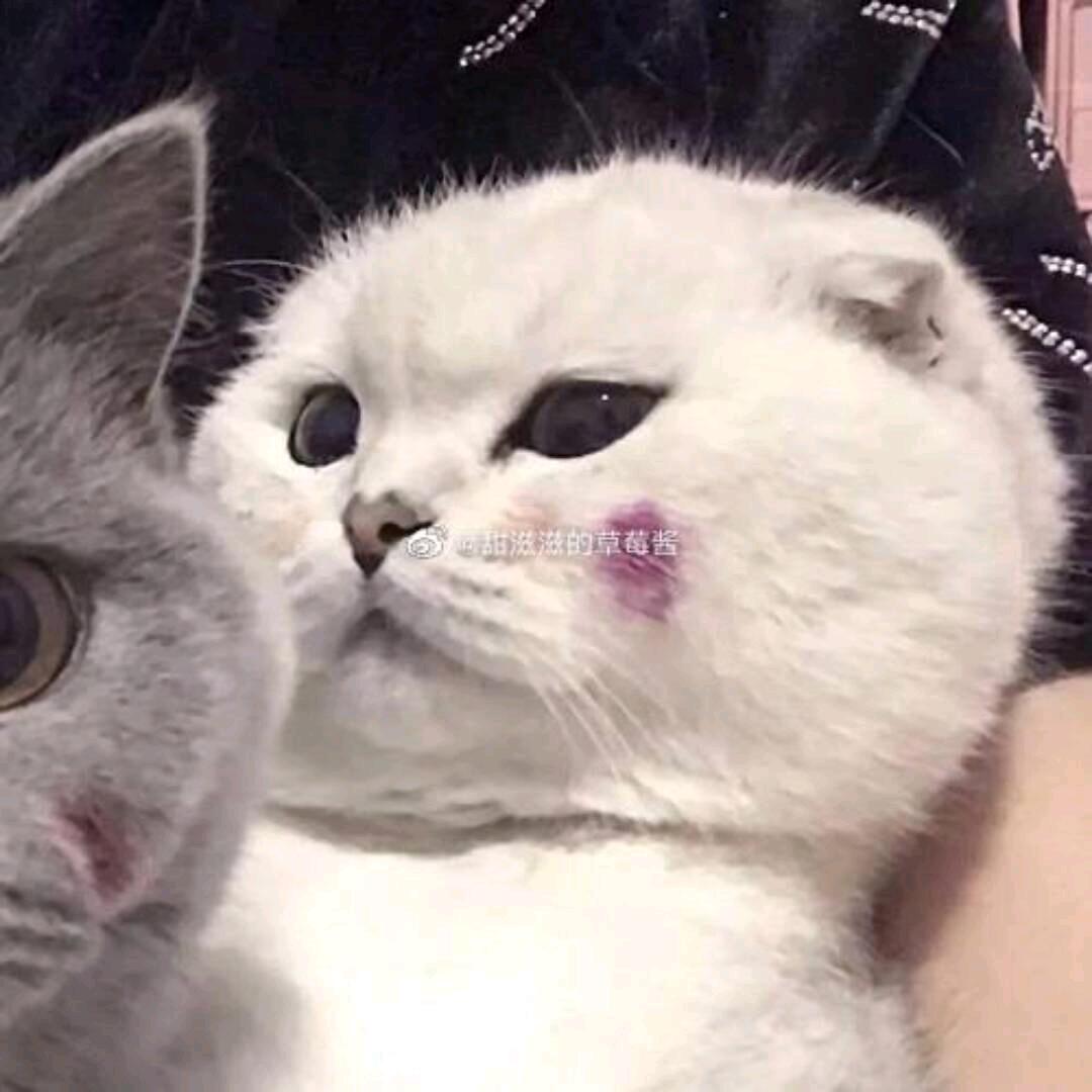 2021.6.25（凌晨一点）