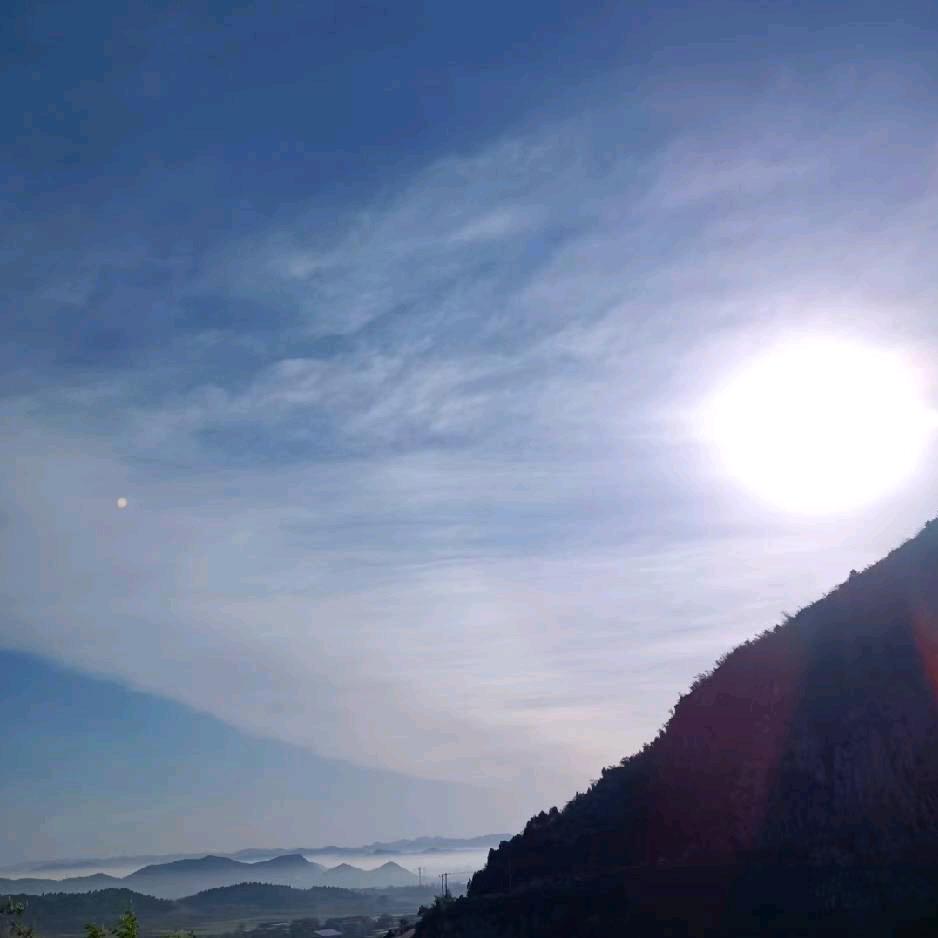 临淇南园新云副食店