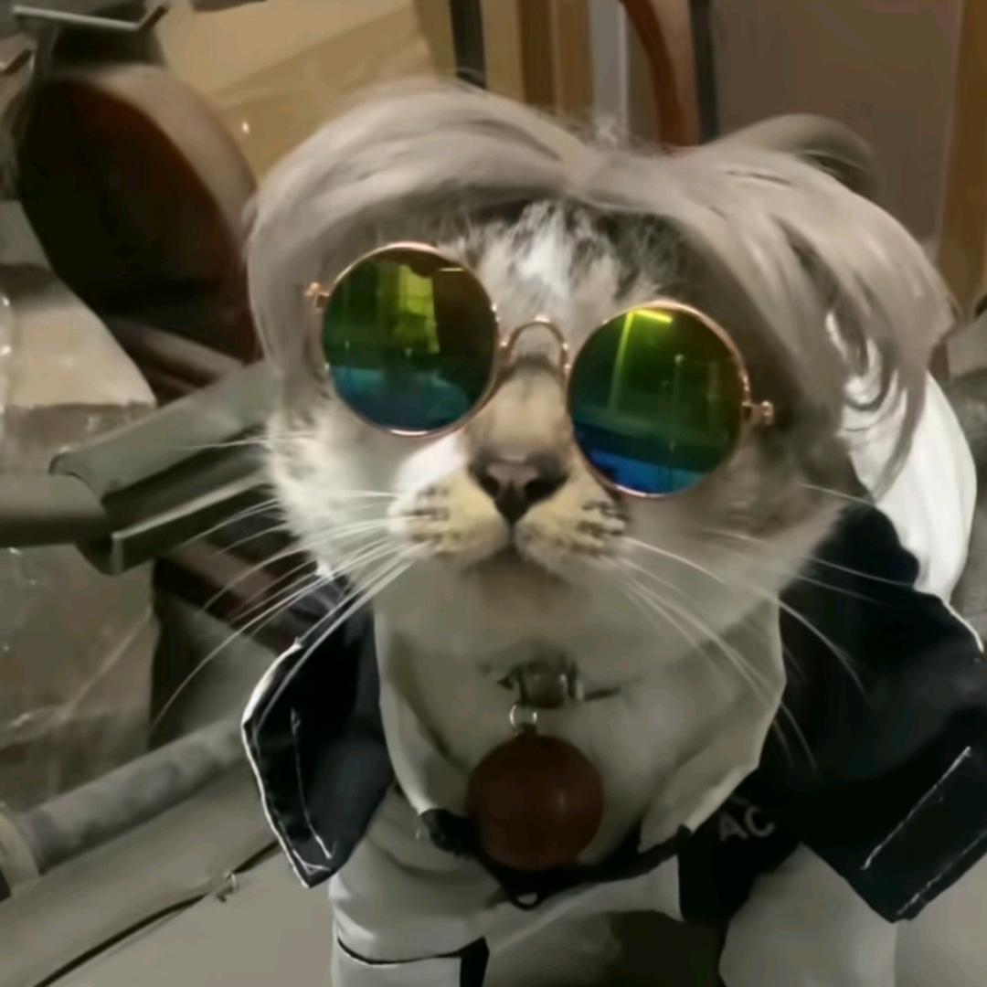 🌈🐈dEFqm[>Lvum🐈🌈