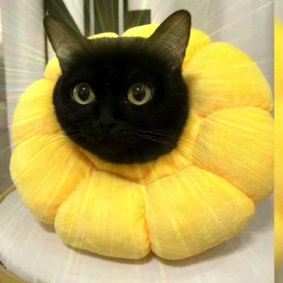 ๓°忘川ꦿ๓᭄