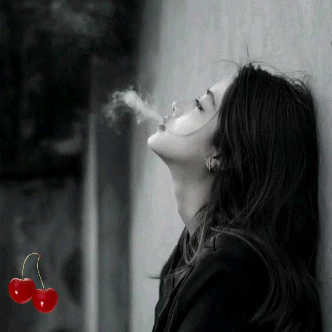 树宝✨（拒绝私聊）