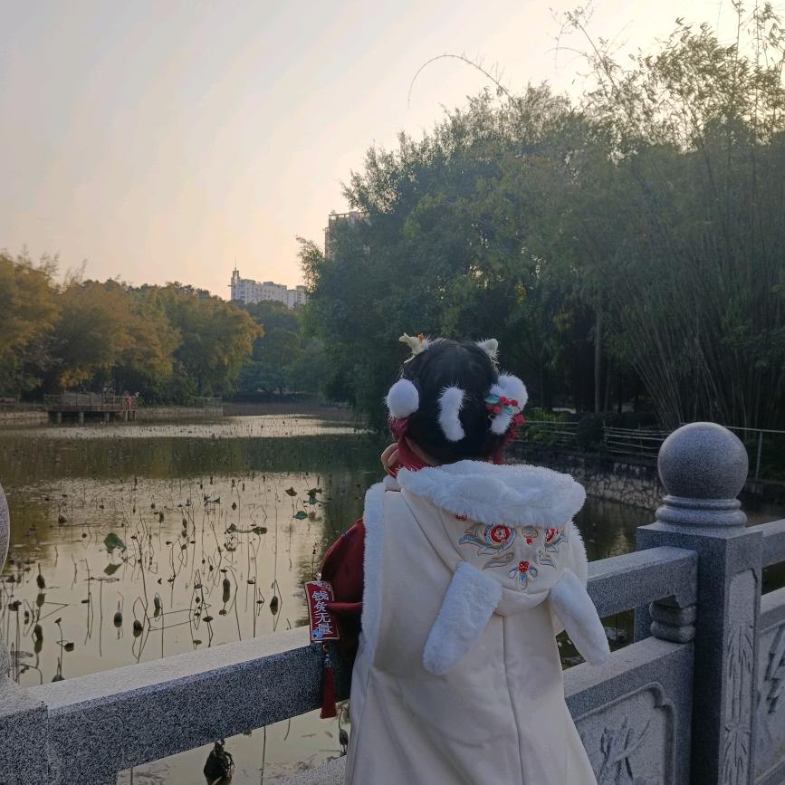 安晓宅