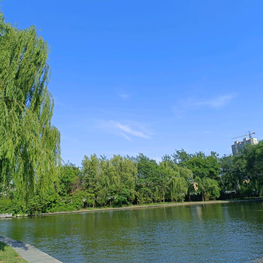 云淡风轻，