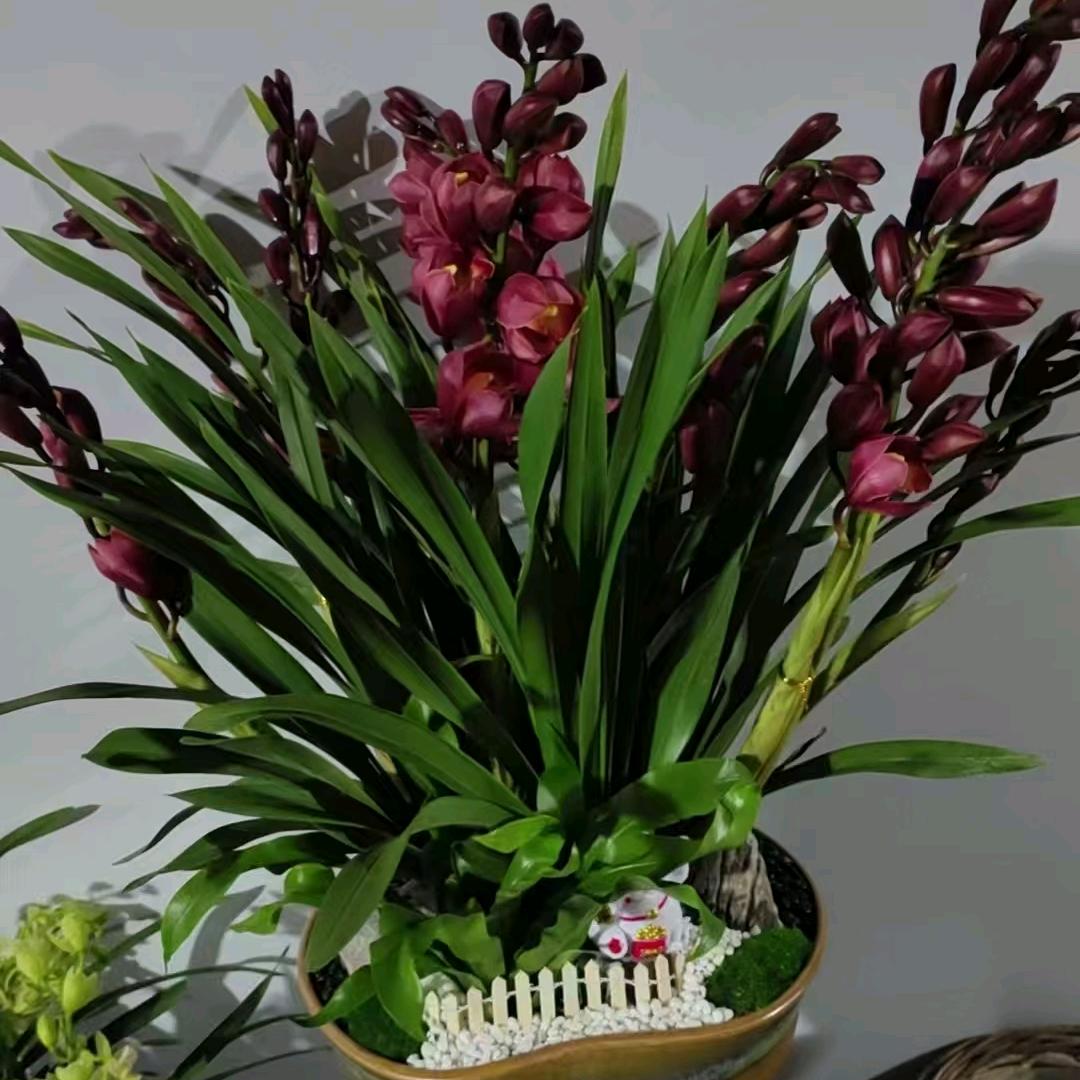 云与你一起白首偕老💘