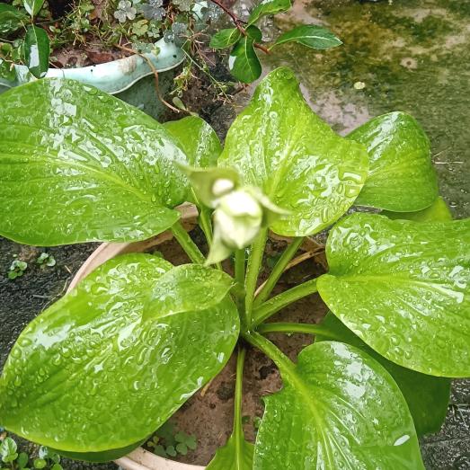 浙江利卓人力资源