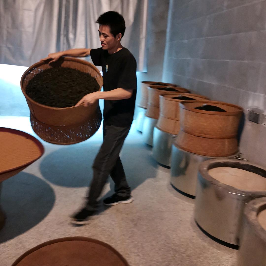 天天吃茶