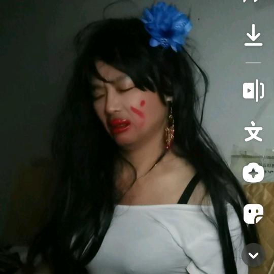 春哥与萌宠