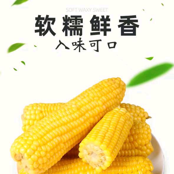 糯玉米优选🌽