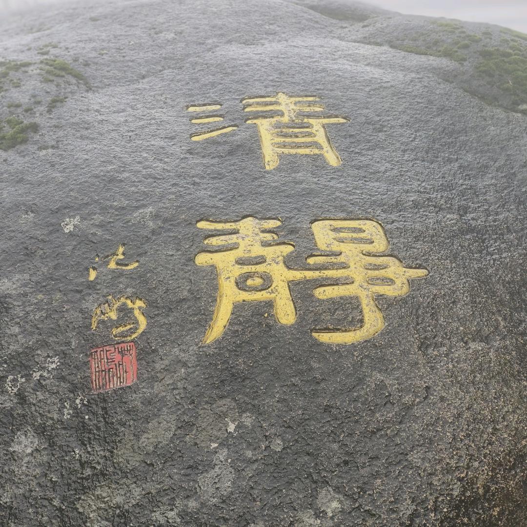 秦桐沛楠栀