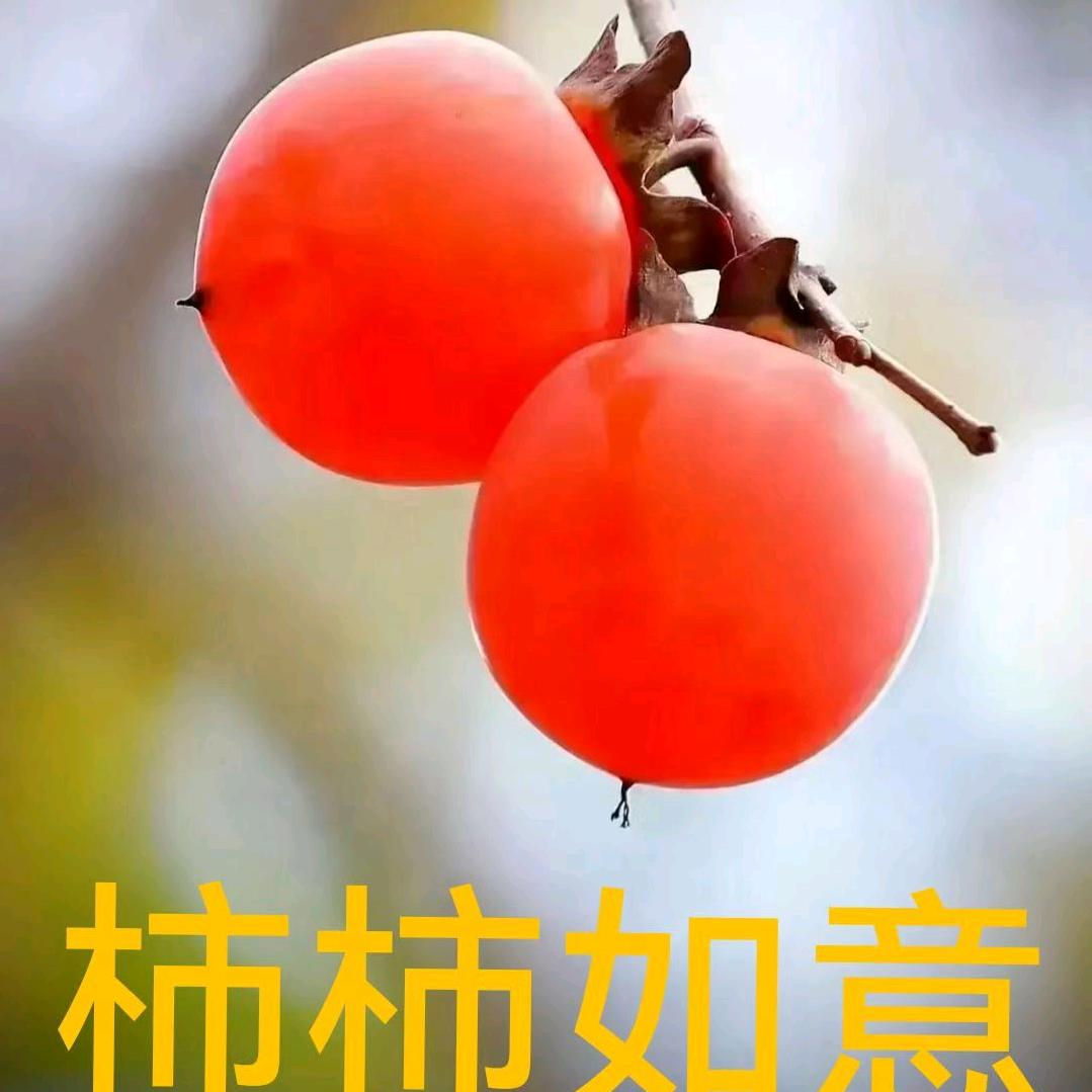 🏊‍♀️🈶优无虑～