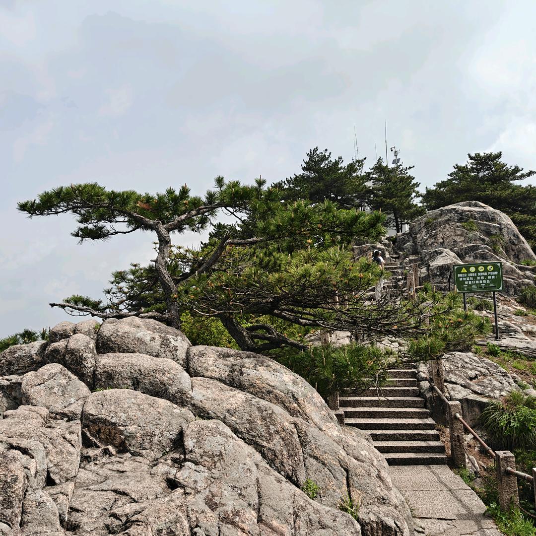 山林