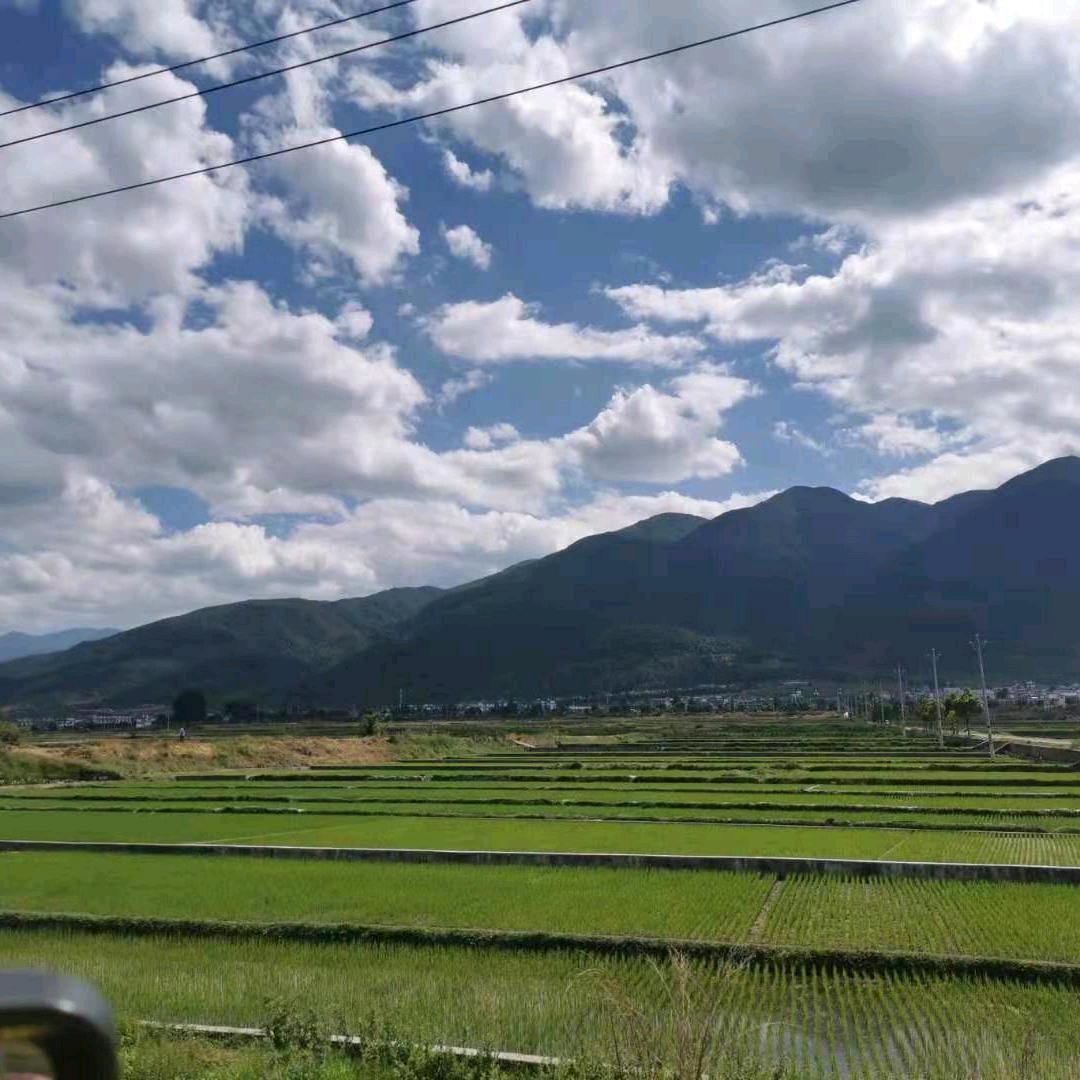 落叶知秋