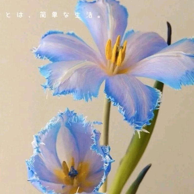 流光溢彩