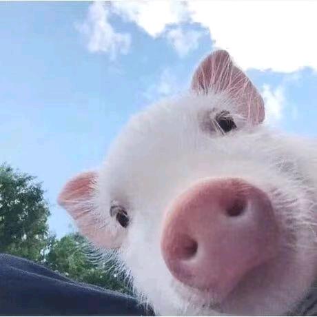 新年快乐(／≧ω＼)