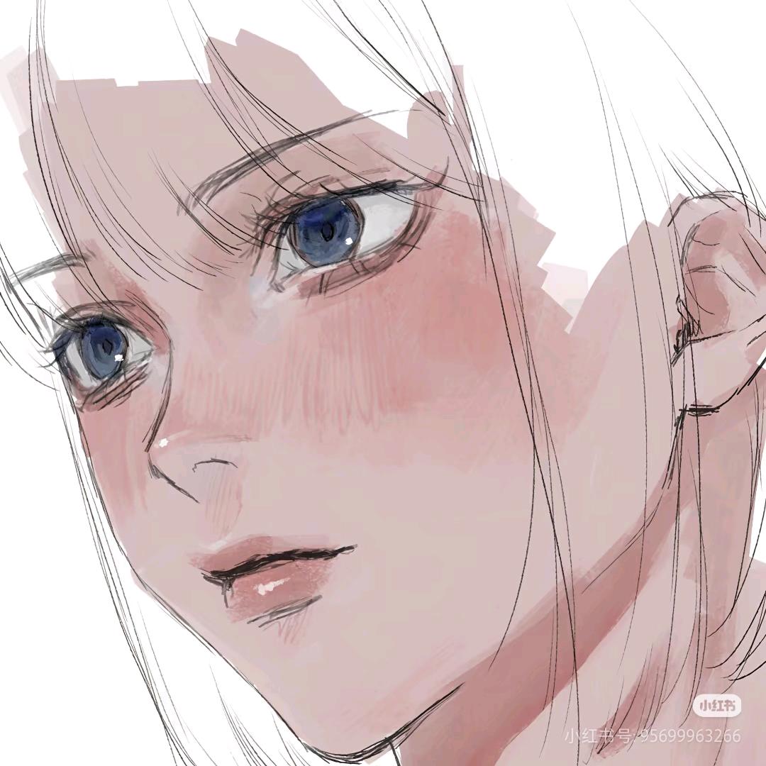 达尔文