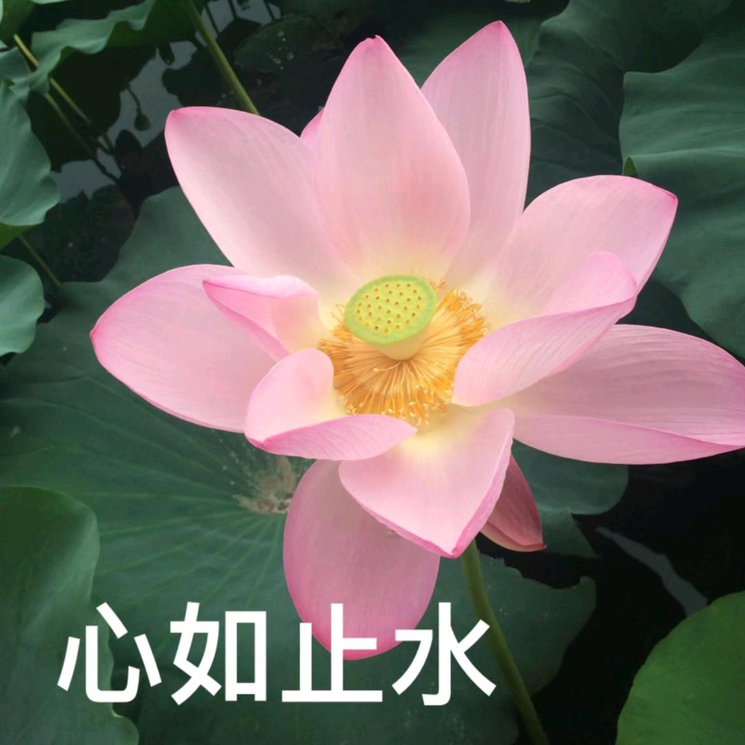 苦尽甘来