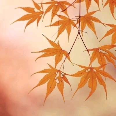 小陈电工