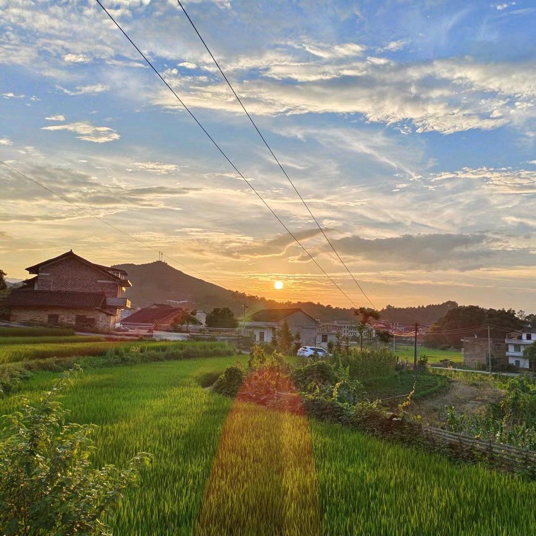 陈师兄