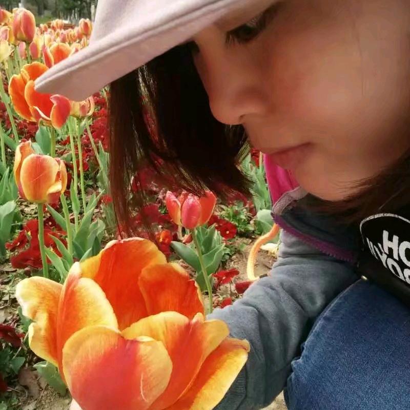 王炸要不起，过