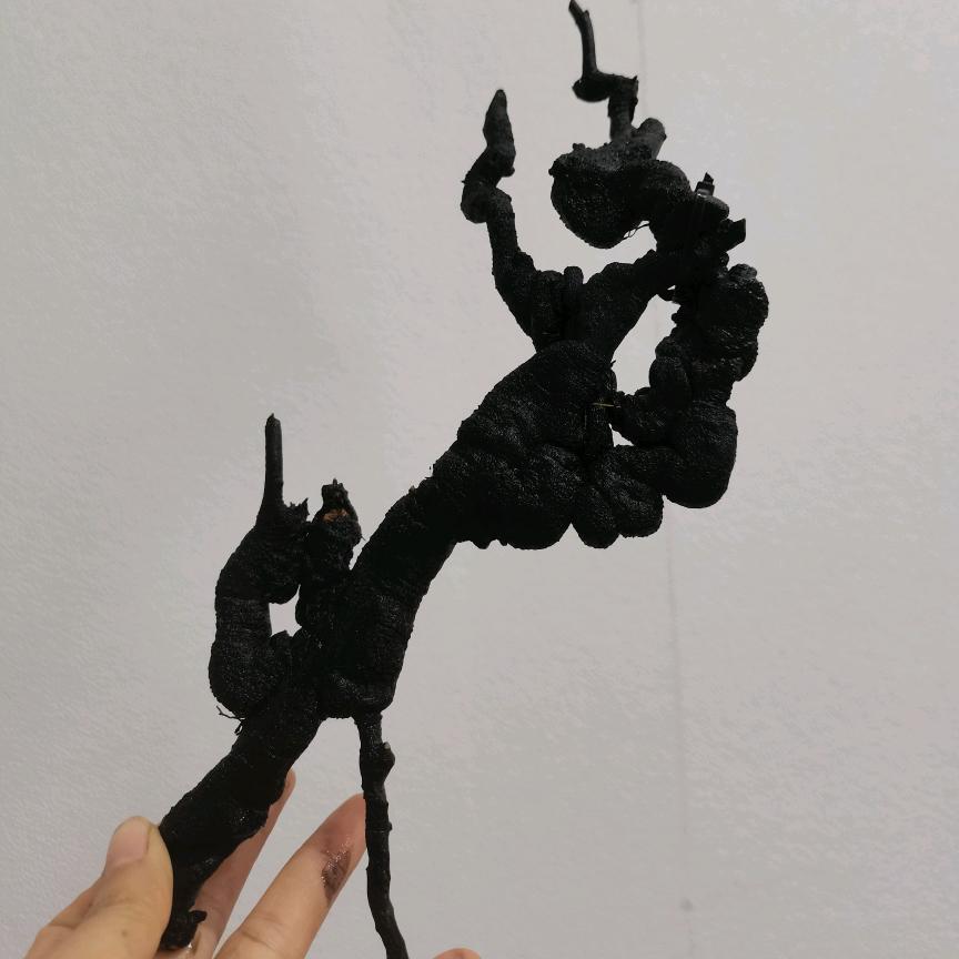 红红金弹子盆景园