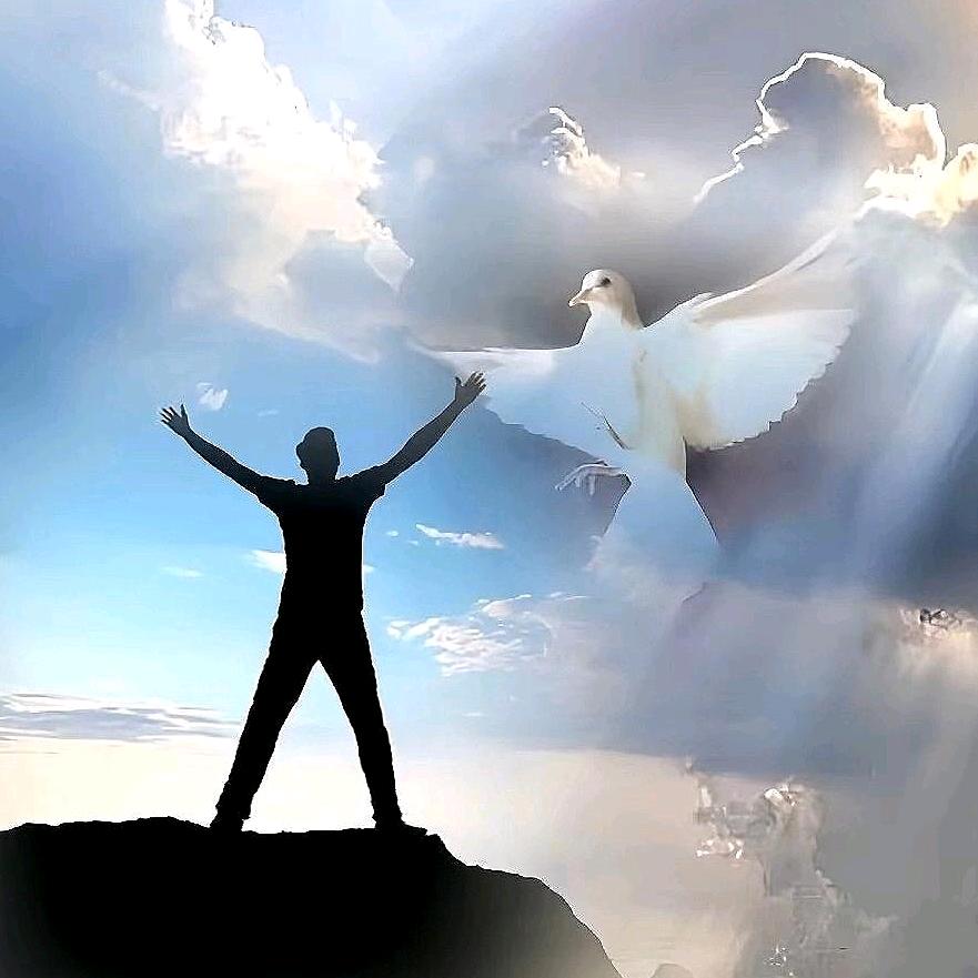 以梦为马🐴莫负韶华