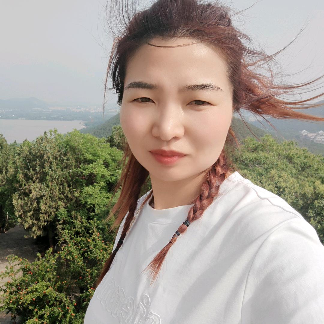 锦鲤灰猫