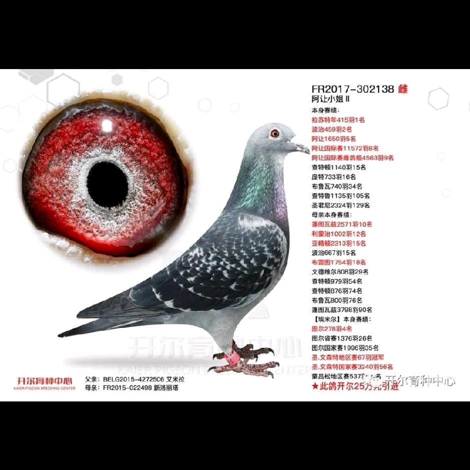 用户9124283873751