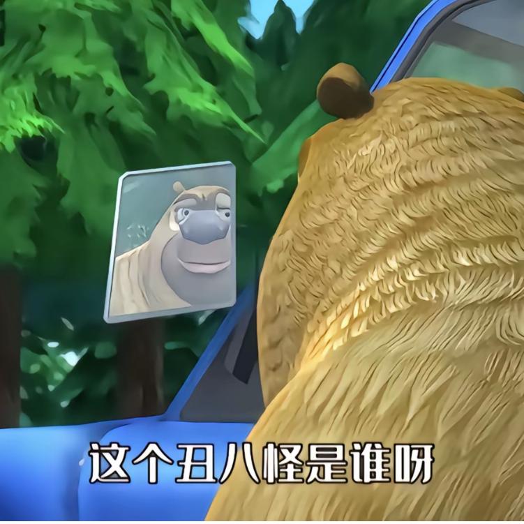 年轮