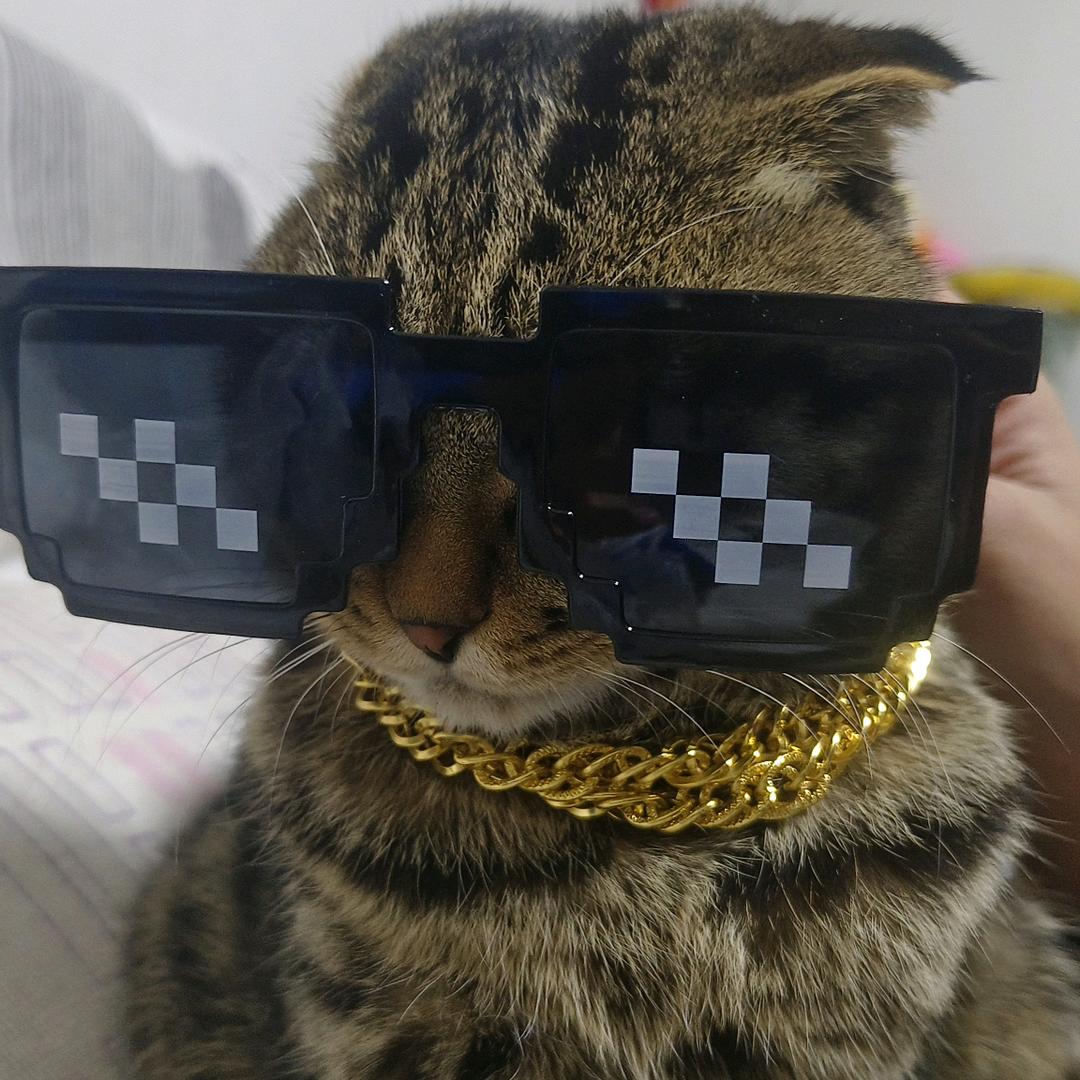 小晴天🌞～不吃香菜🤮