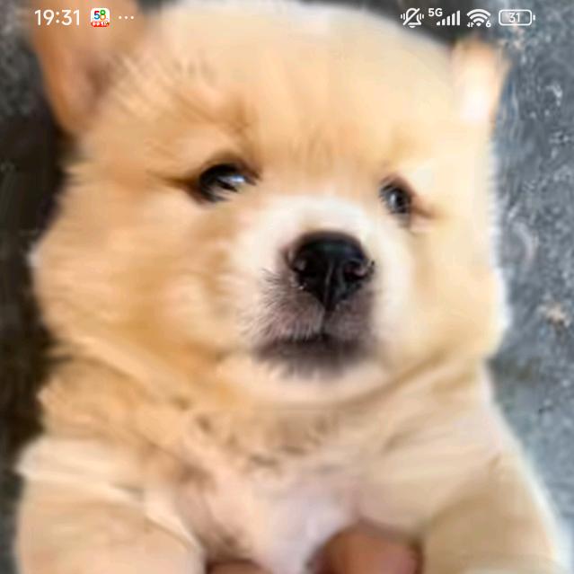 背影☞你得不到