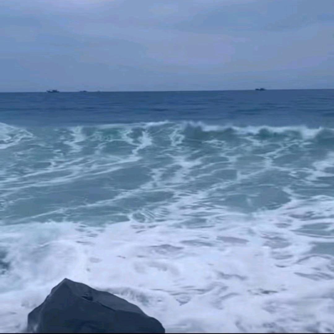 青稞