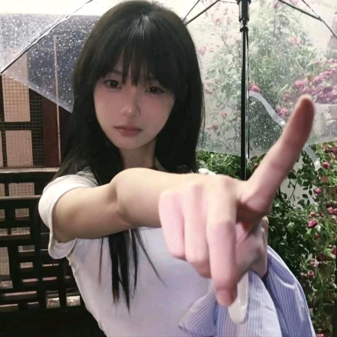 芒果千层