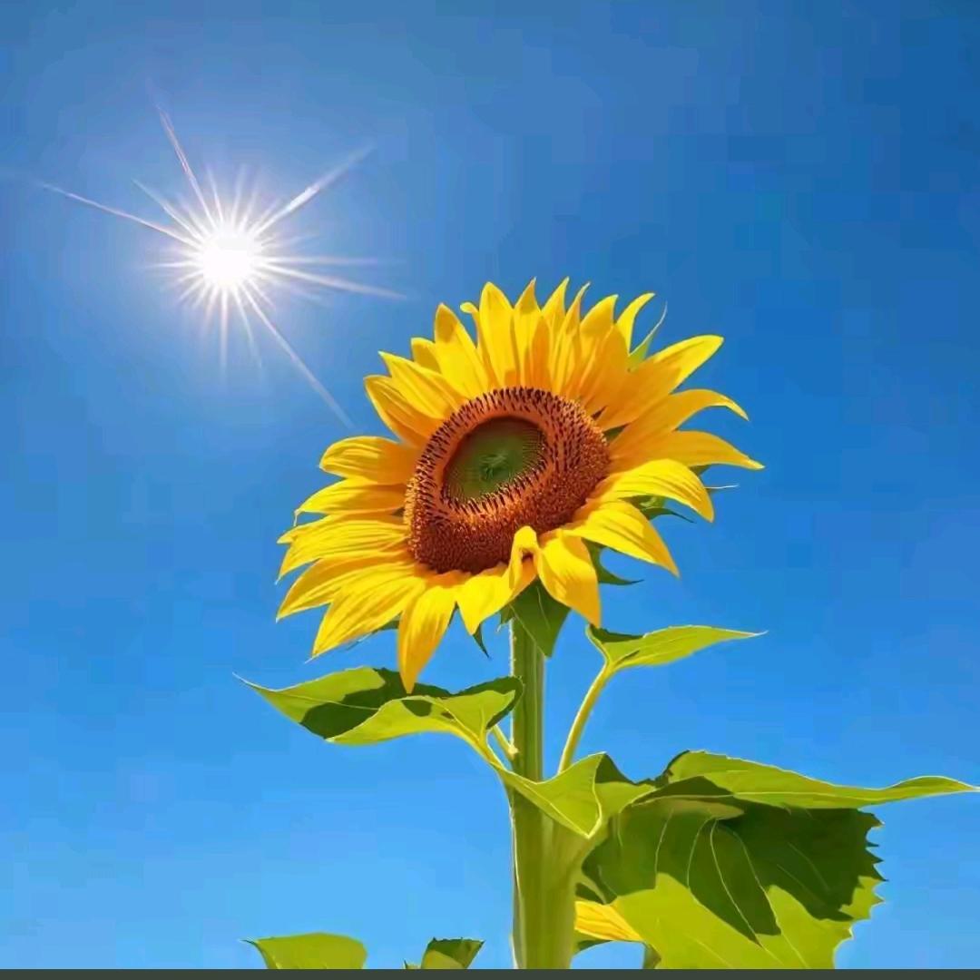 你是太阳413
