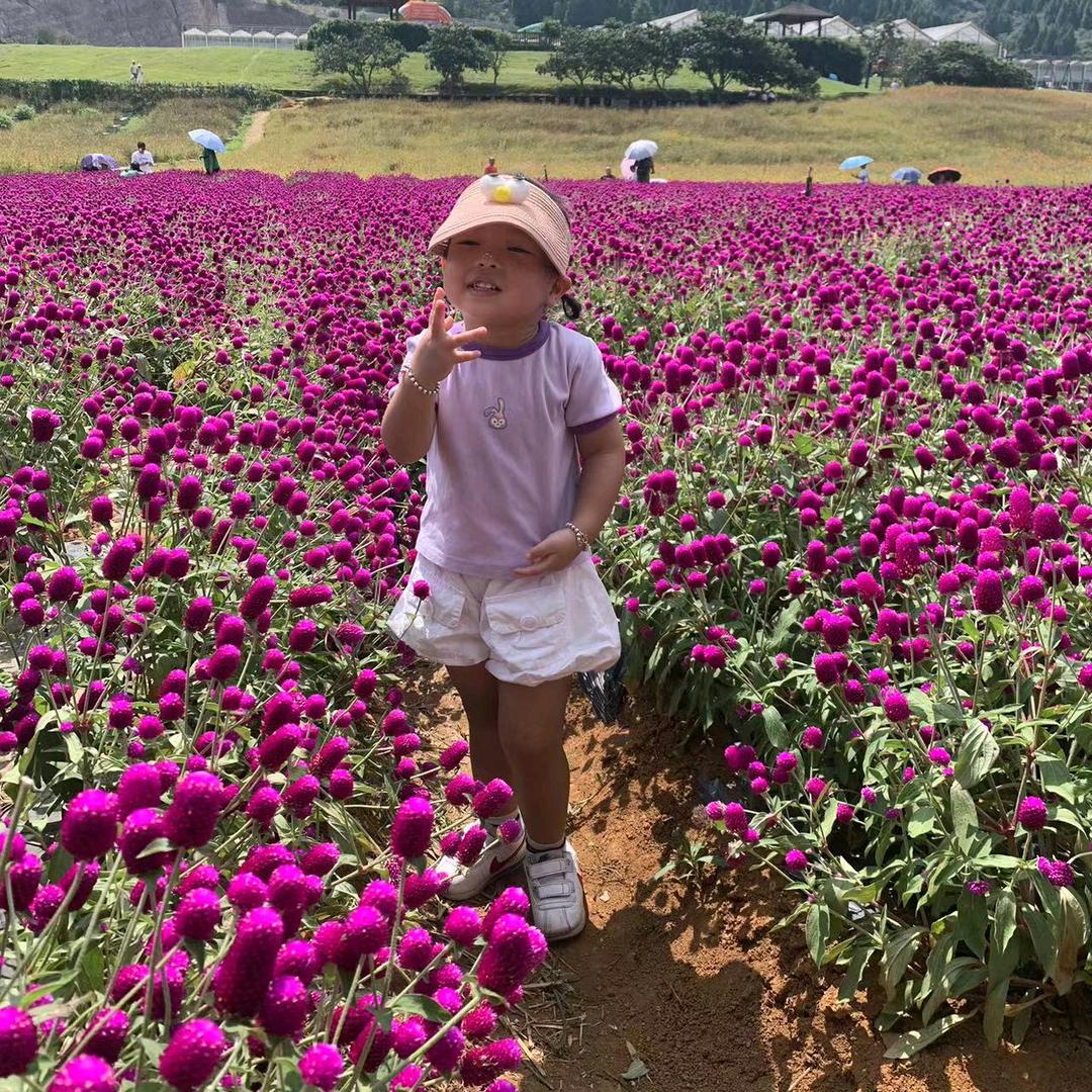 岁月不经谈
