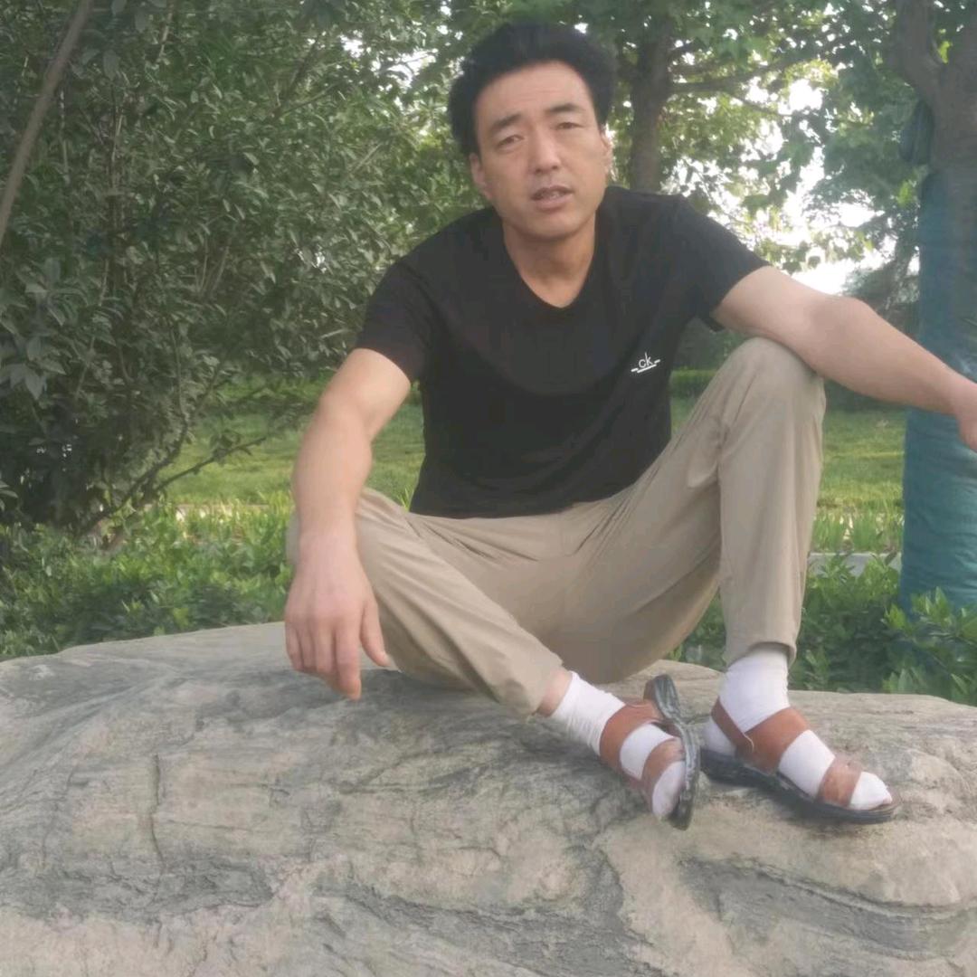 、鹰