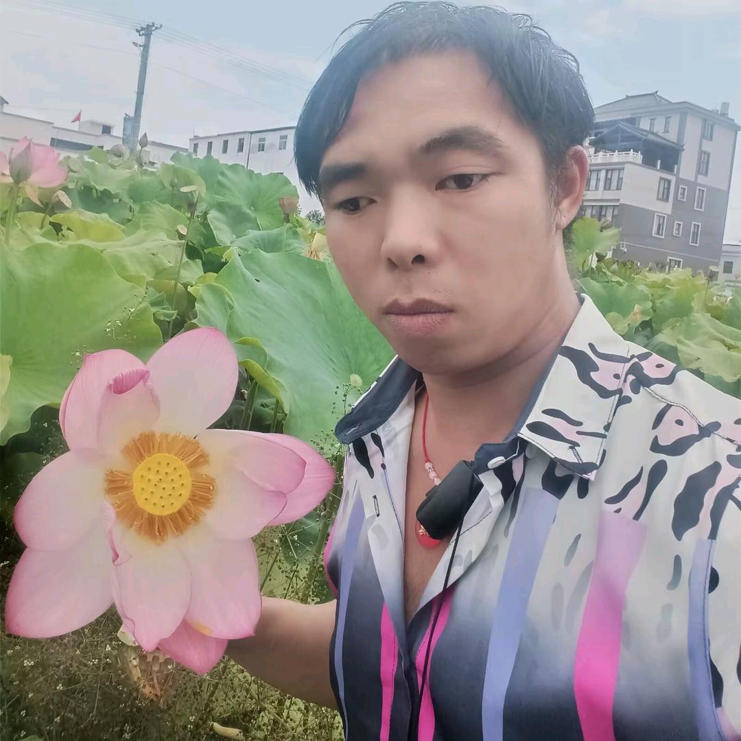 婉若游龙