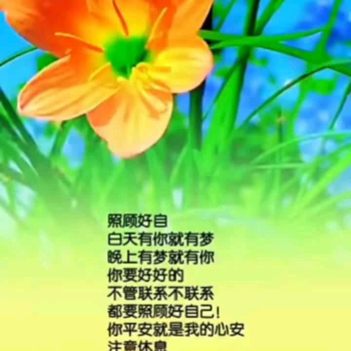 心语