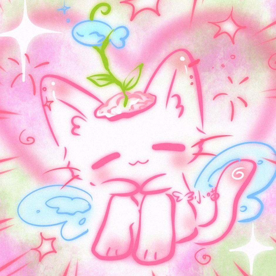 八月被猫袭击