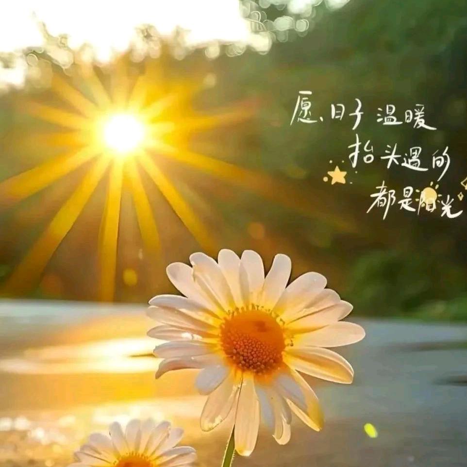 会昌创美服饰小黄