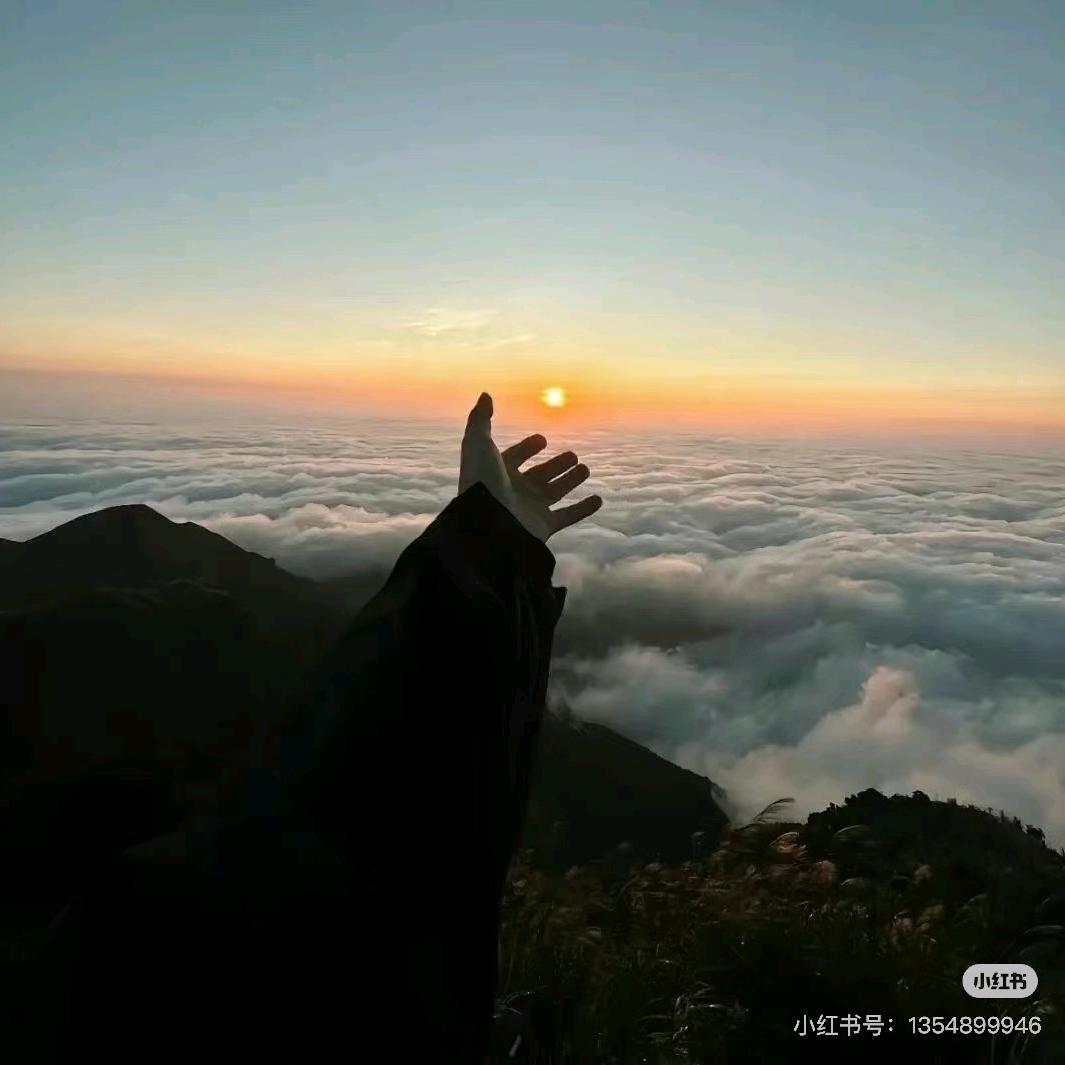 景川（刷题版）