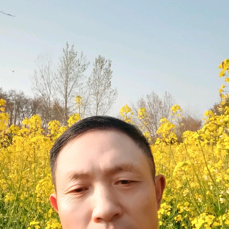 真龙添孙子，淮南煤业