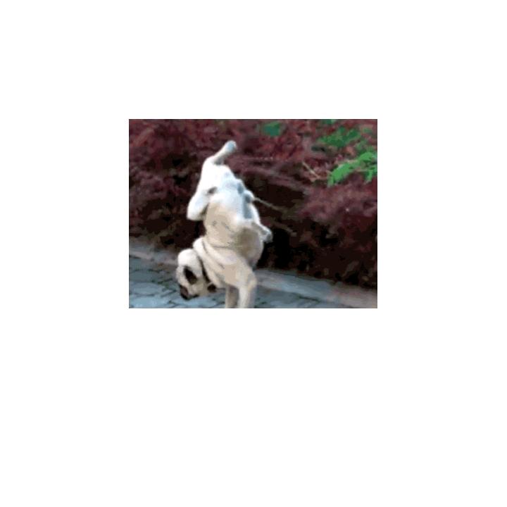 小仔仔承蒙厚爱。8013