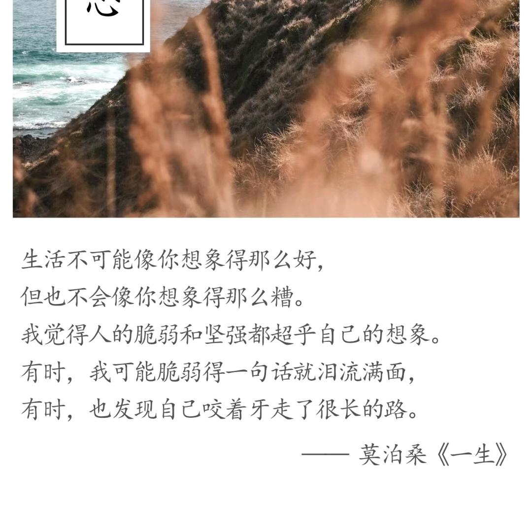 书里人生