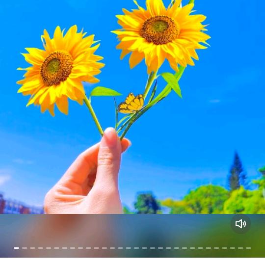 刘女士，，82956869141